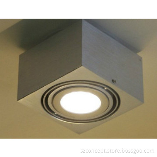 10W AR111 LED Downlight, LED Ceiling Light - P
